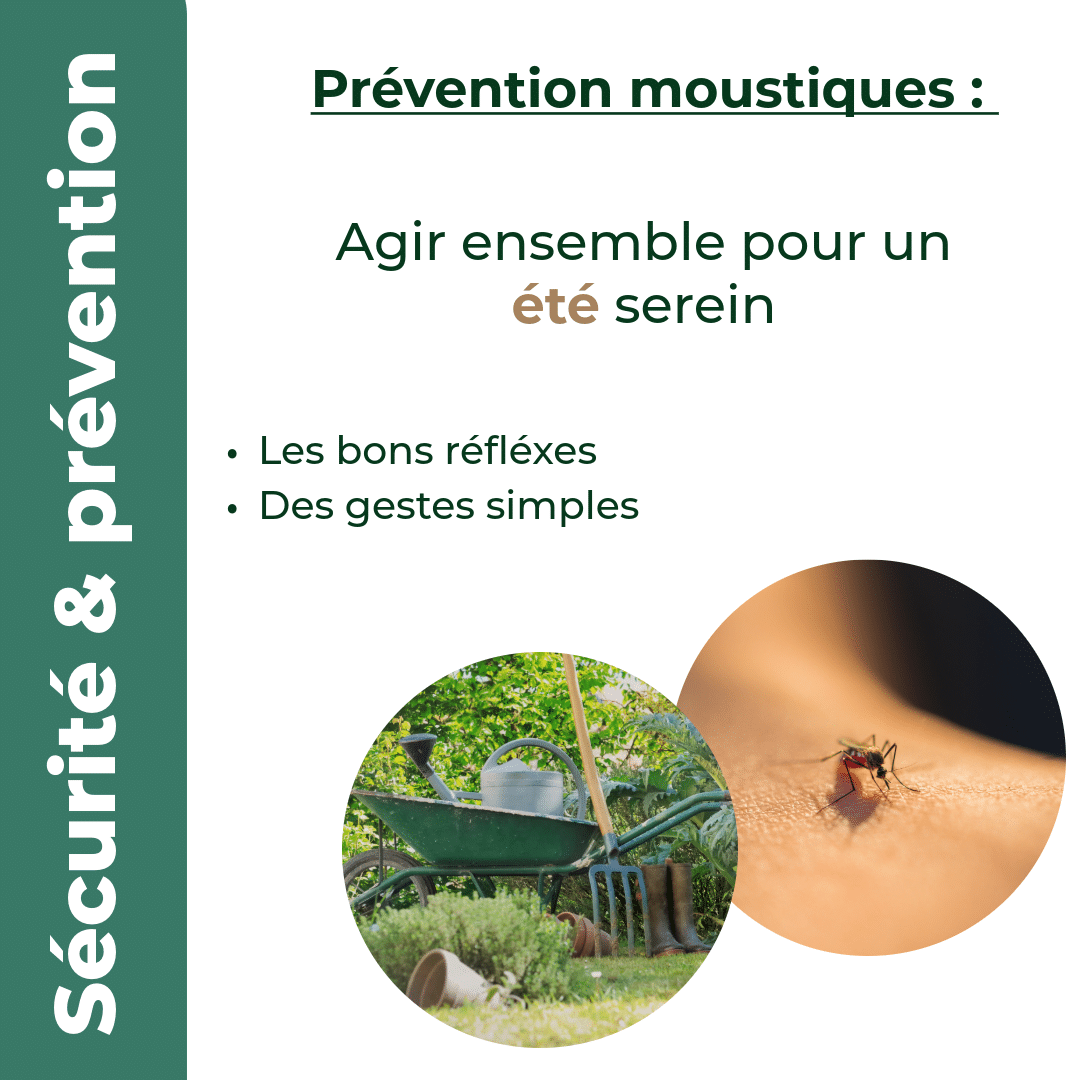 MOUSTIQUES