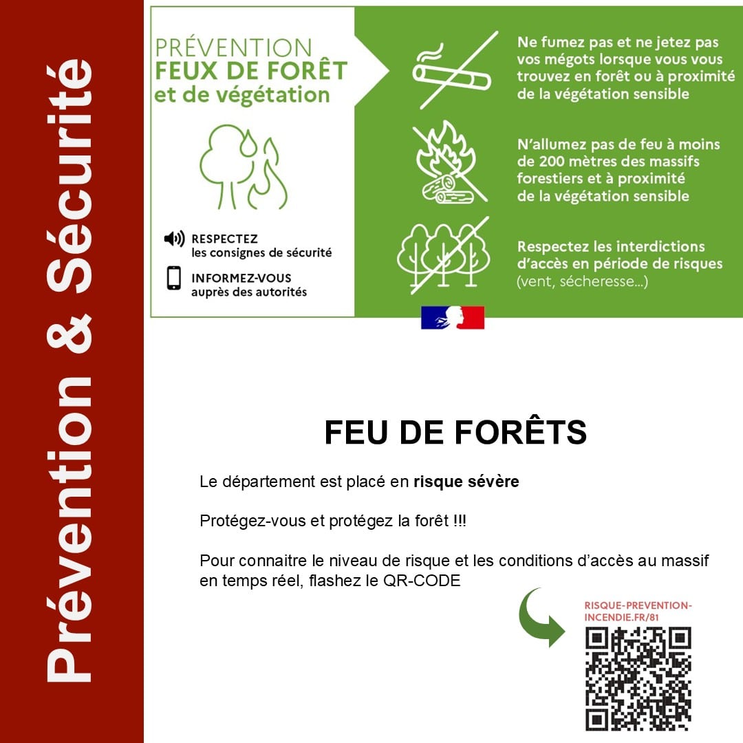 FEU DE FORÊT
